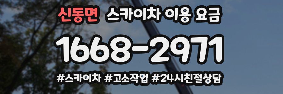 신동면 스카이차 이용 요금