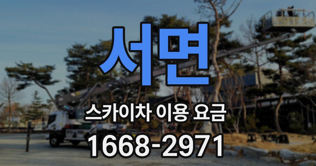 서면 스카이차 이용 요금