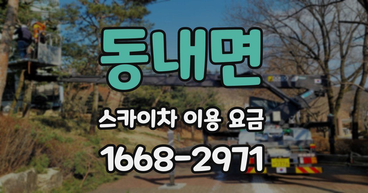 동내면 스카이차 이용 요금