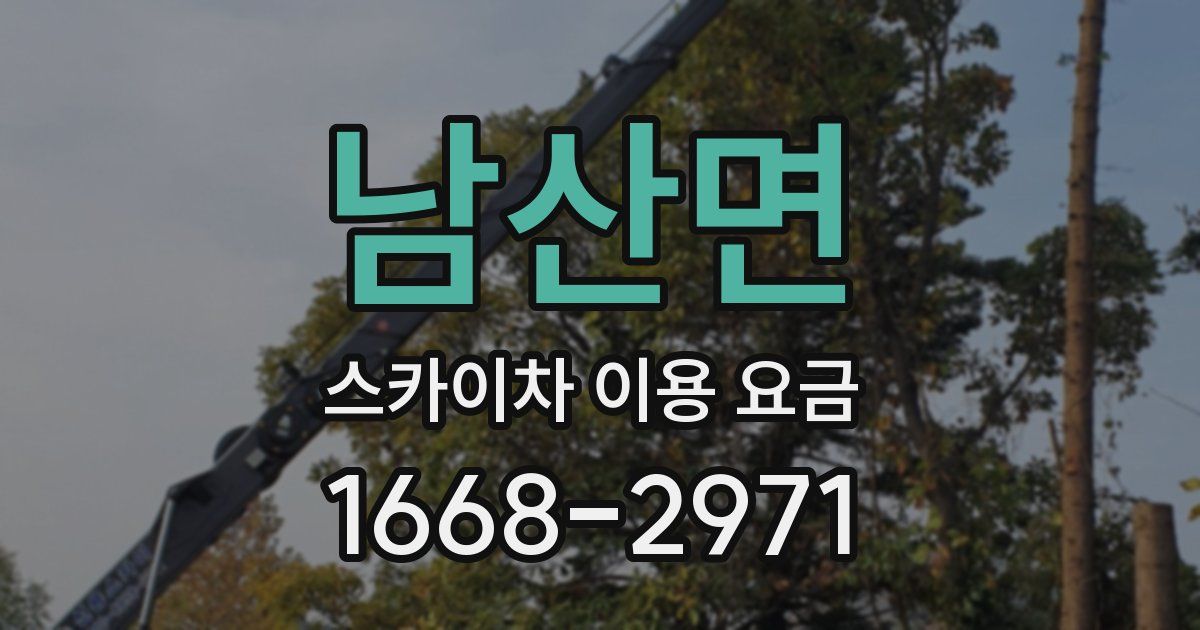 남산면 스카이차 이용 요금