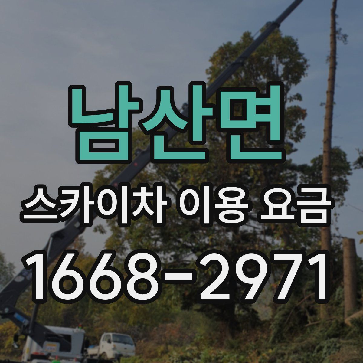 남산면 스카이차 이용 요금