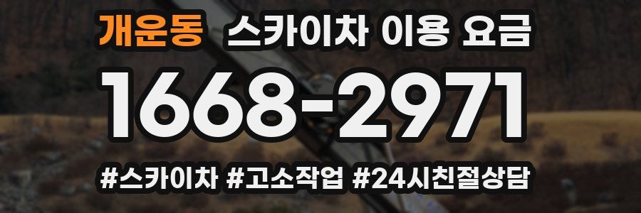 개운동 스카이차 이용 요금