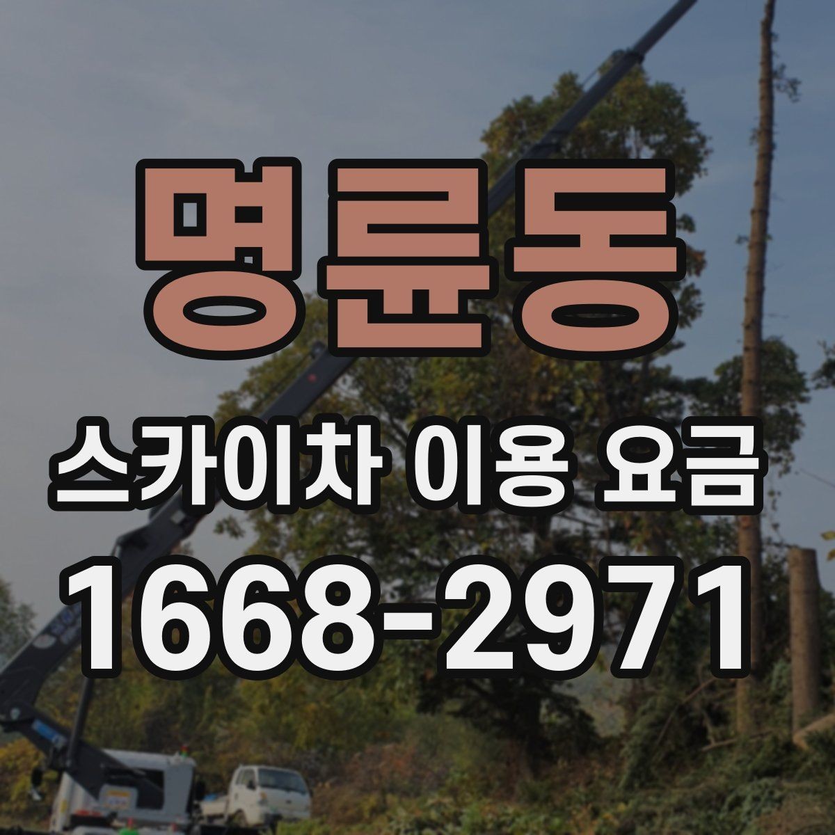 명륜동 스카이차 이용 요금 안내, 초보자도 이해하기 쉽게