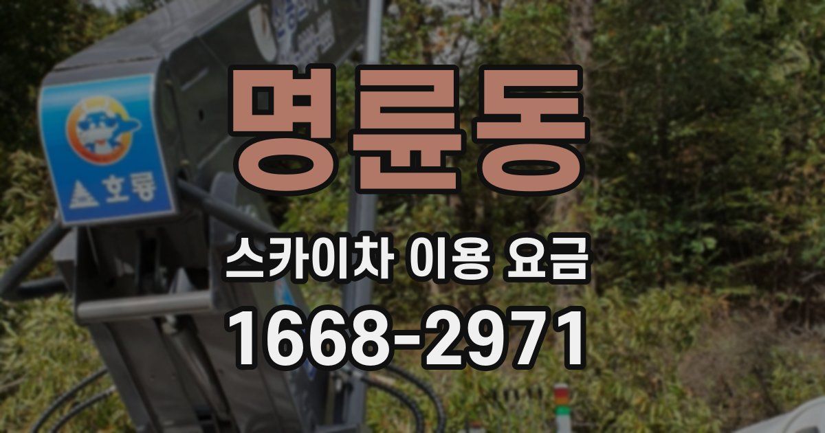 명륜동 스카이차 이용 요금