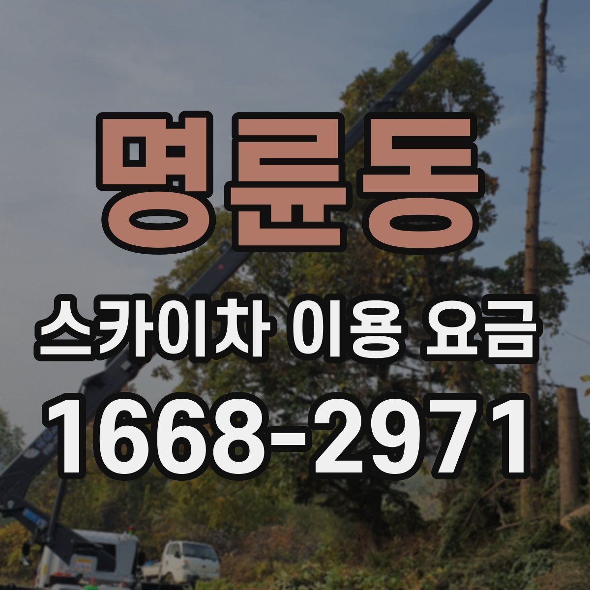 명륜동 스카이차 이용 요금