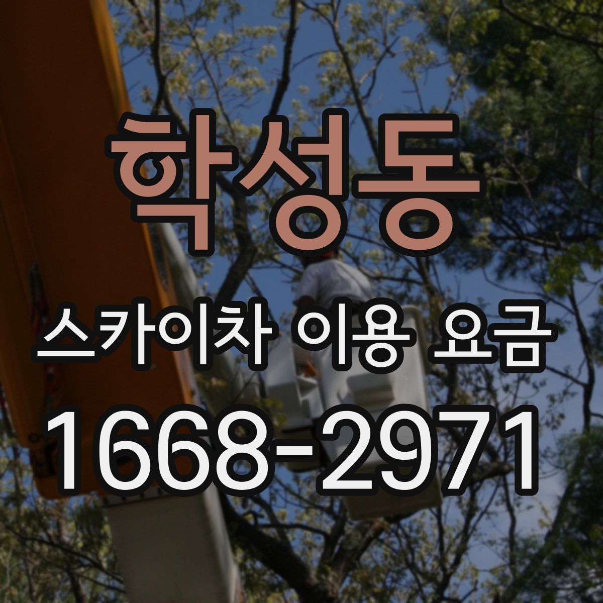 학성동 스카이차 이용 요금