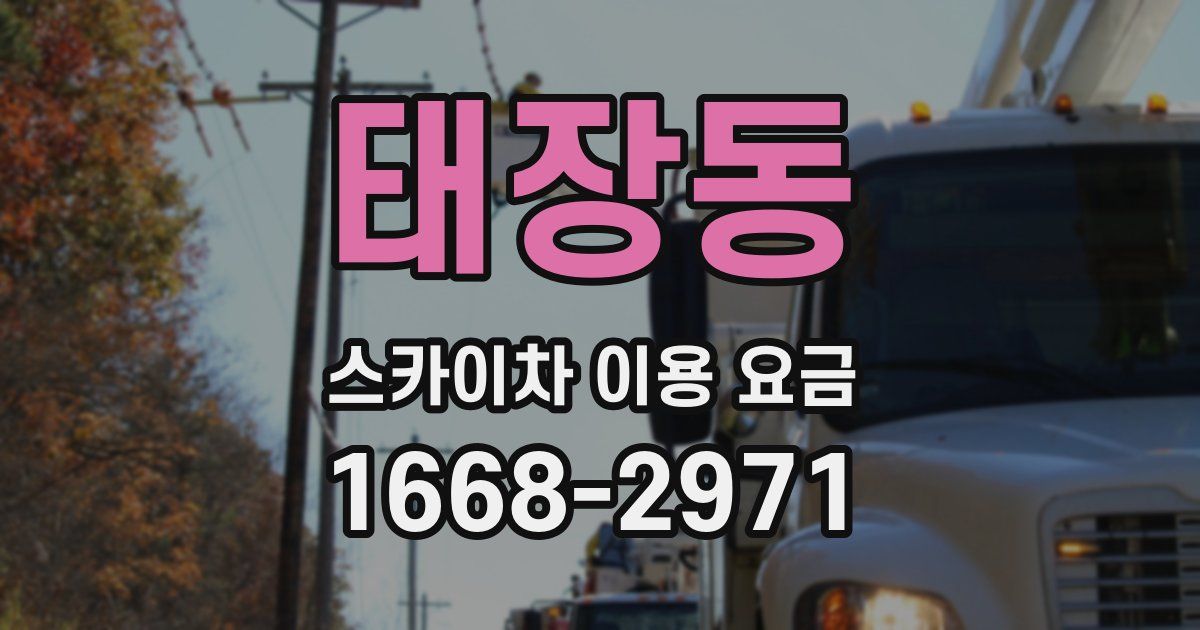 태장동 스카이차 이용 요금