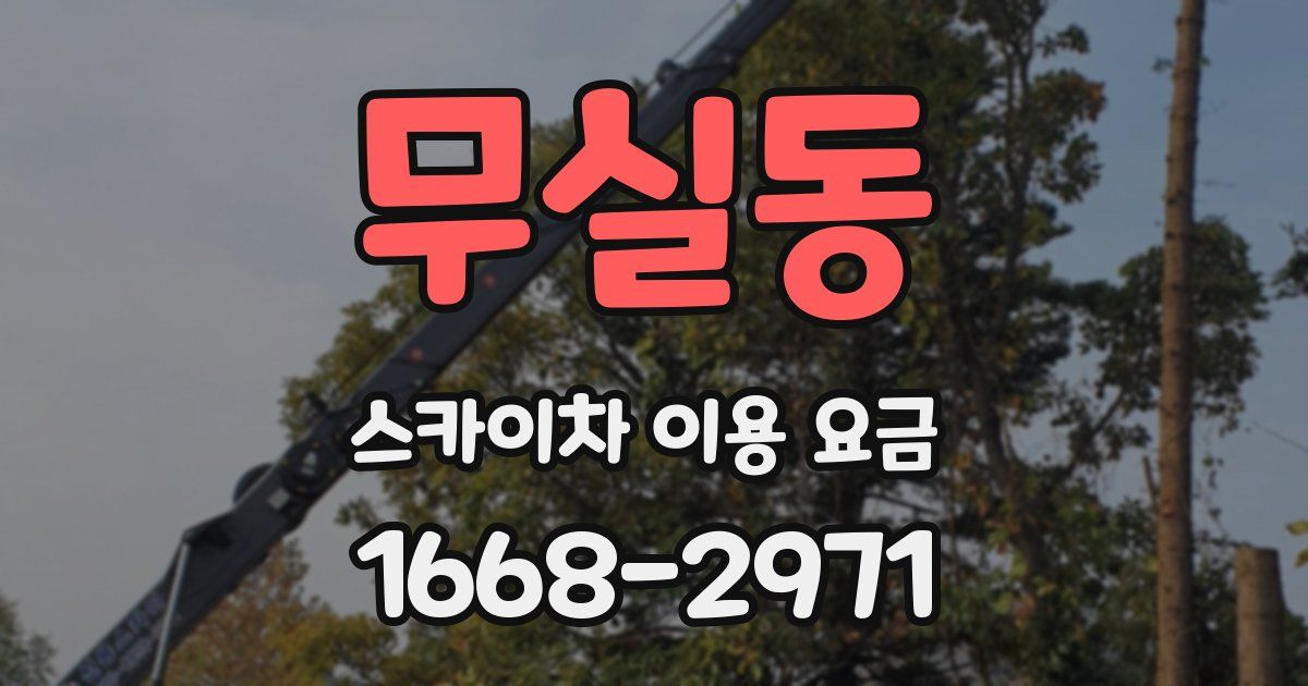 무실동 스카이차 이용 요금