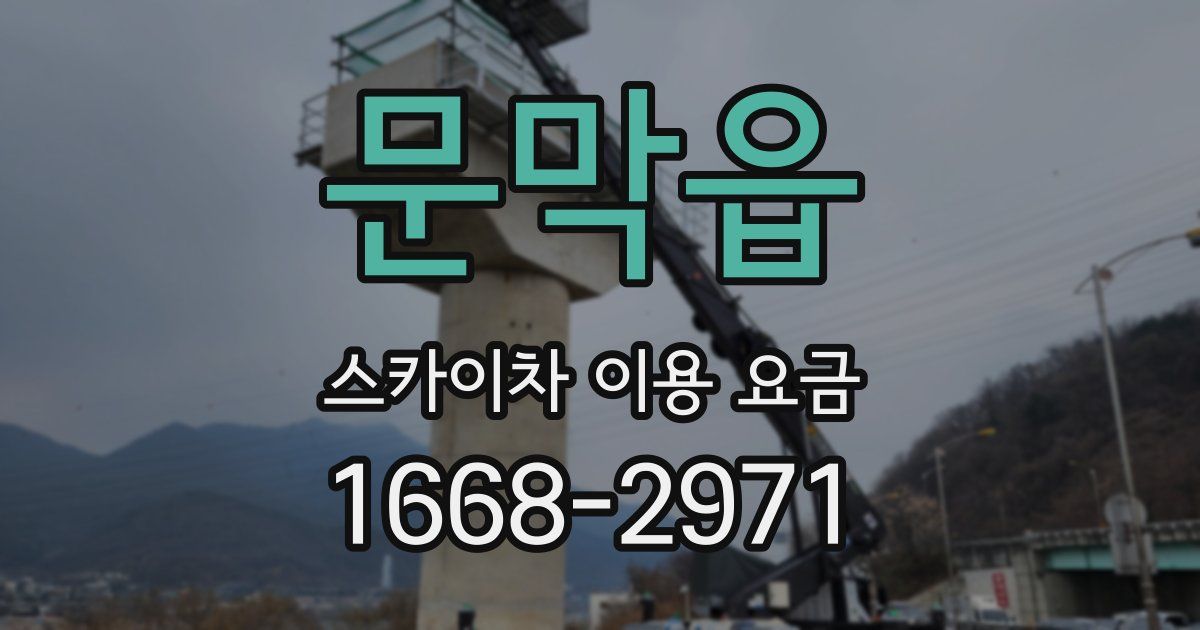 문막읍 스카이차 이용 요금
