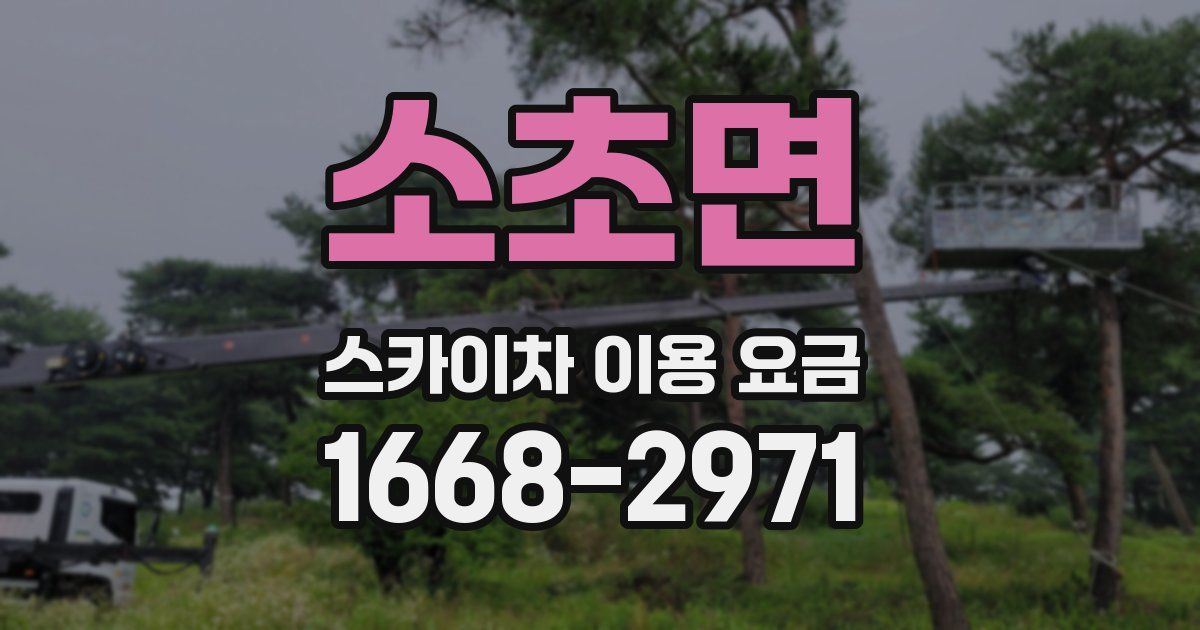 소초면 스카이차 이용 요금