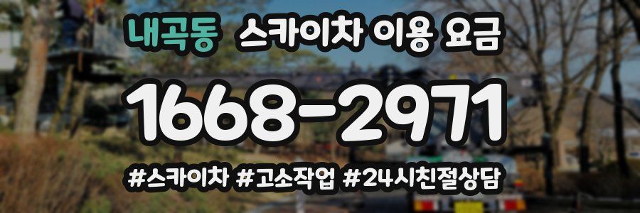 내곡동 스카이차 이용 요금