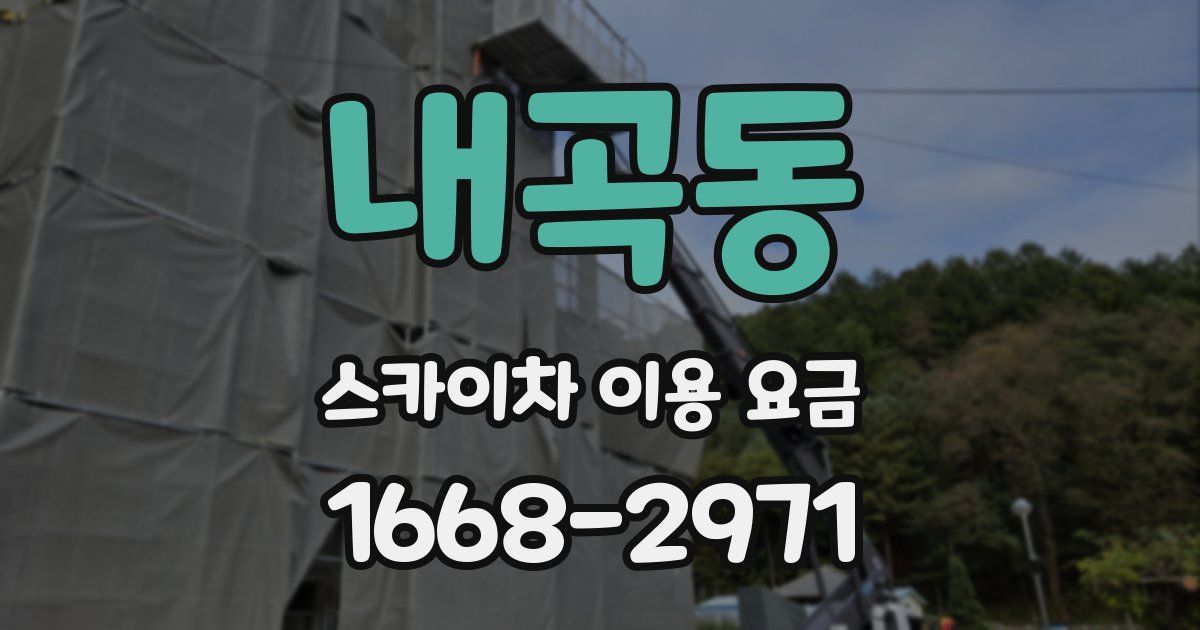 내곡동 스카이차 이용 요금