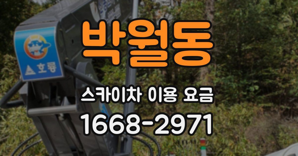 박월동 스카이차 이용 요금