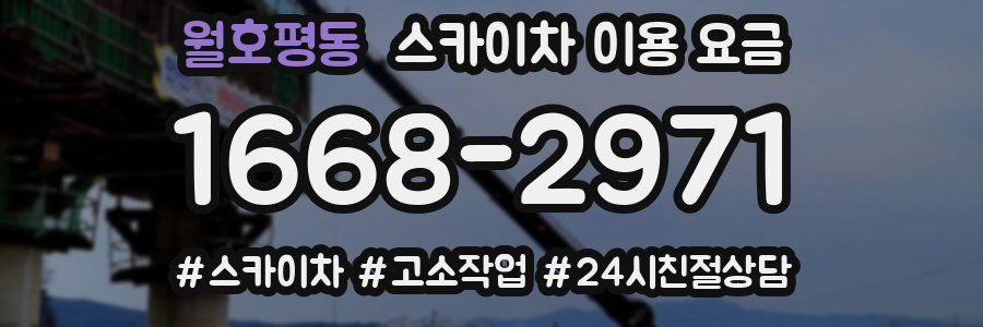 월호평동 스카이차 이용 요금