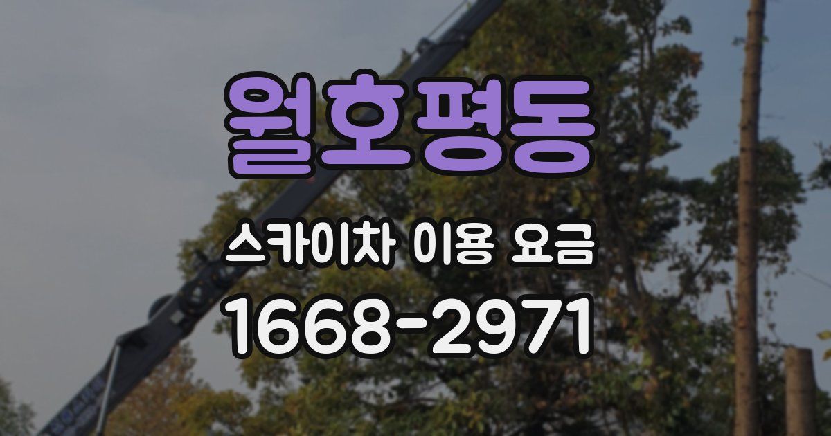월호평동 스카이차 이용 요금