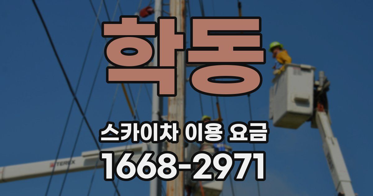 학동 스카이차 이용 요금
