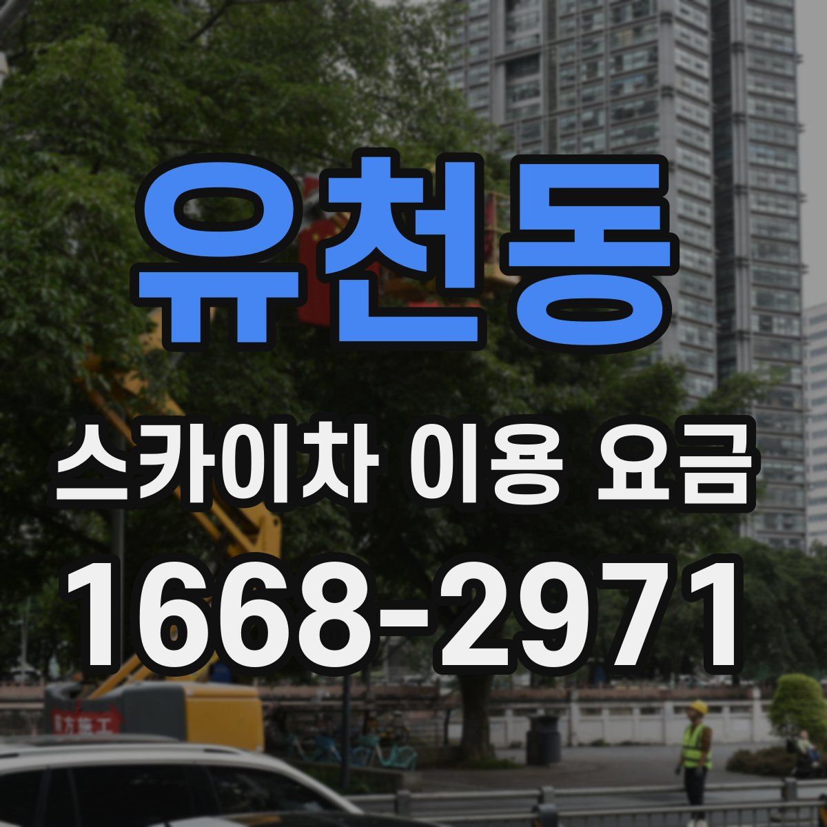 유천동 스카이차 이용 요금
