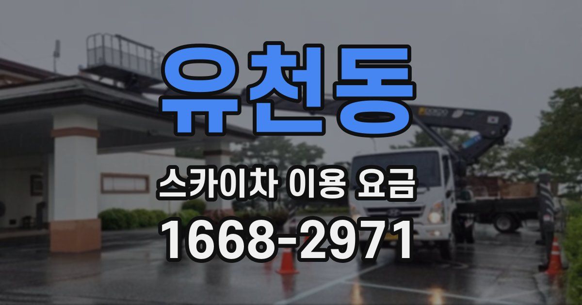 유천동 스카이차 이용 요금