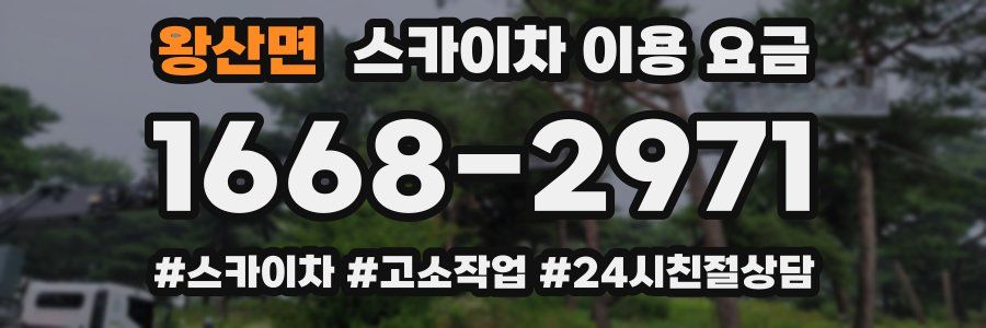 왕산면 스카이차 이용 요금