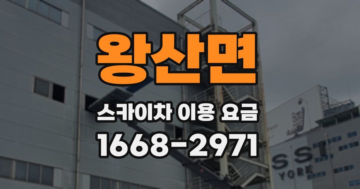 왕산면 스카이차 이용 요금