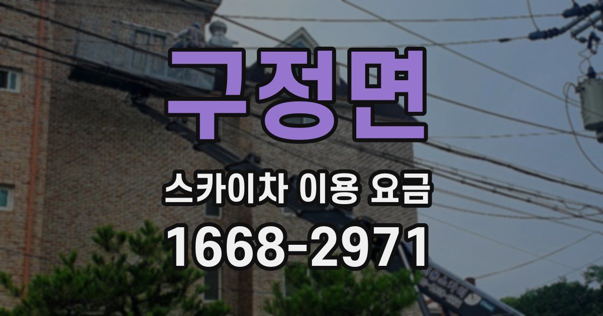 구정면 스카이차 이용 요금