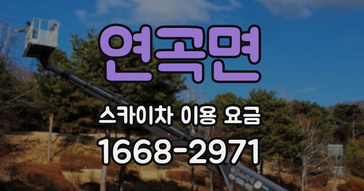 연곡면 스카이차 이용 요금