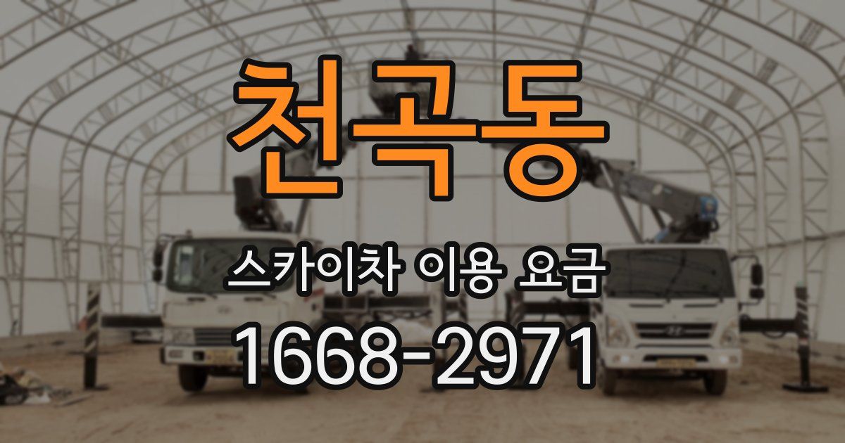 천곡동 스카이차 이용 요금