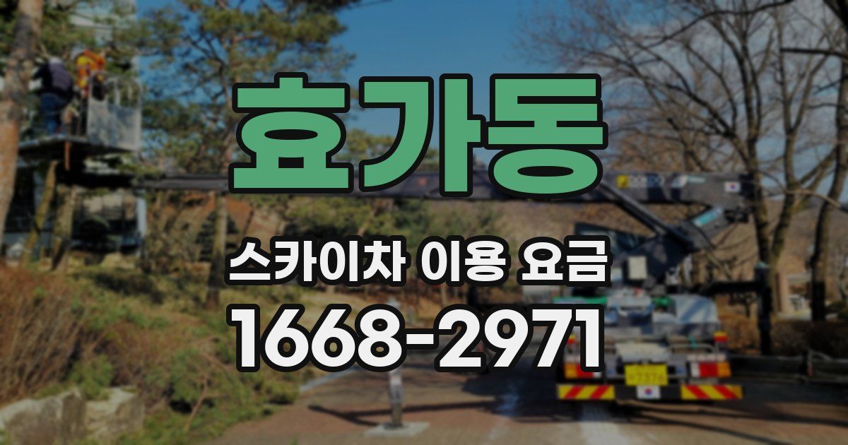 효가동 스카이차 이용 요금