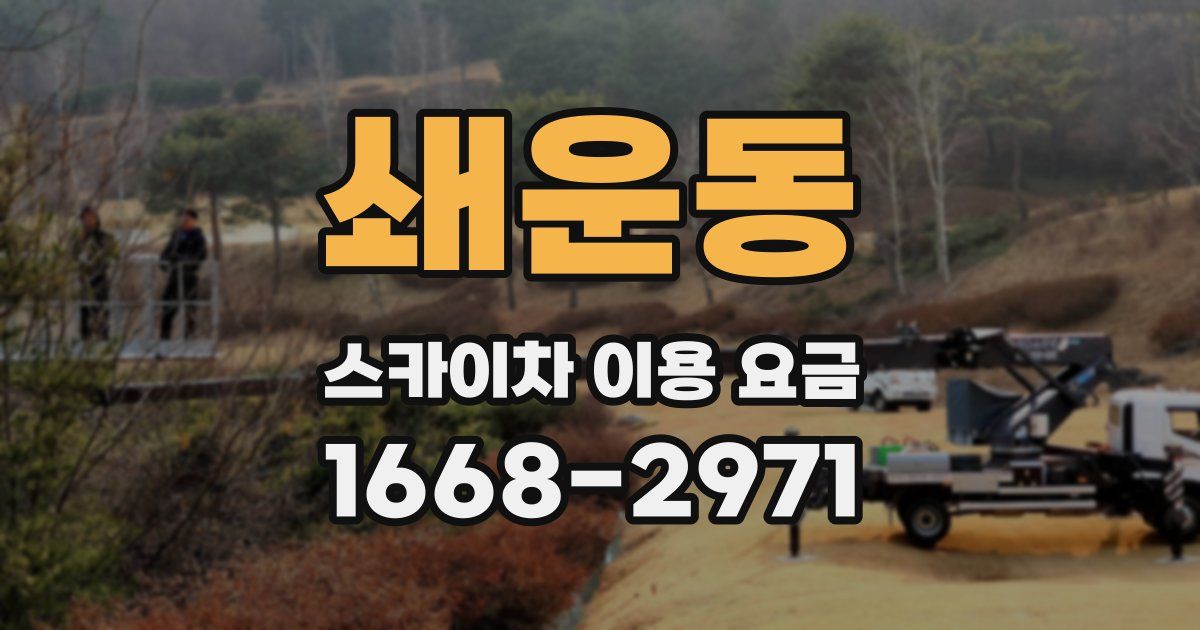 쇄운동 스카이차 이용 요금