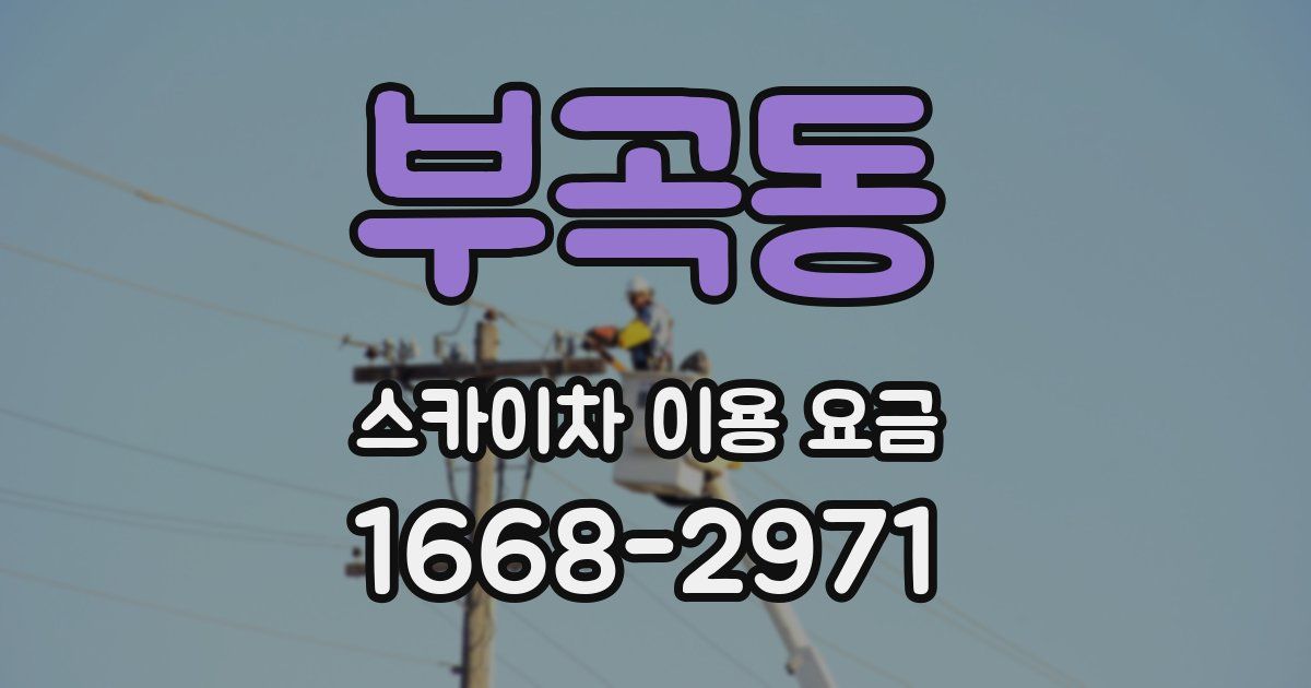 부곡동 스카이차 이용 요금