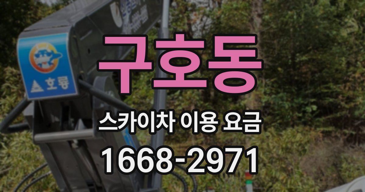 구호동 스카이차 이용 요금