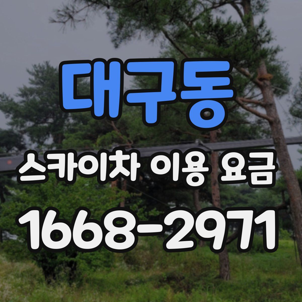 대구동 스카이차 이용 요금