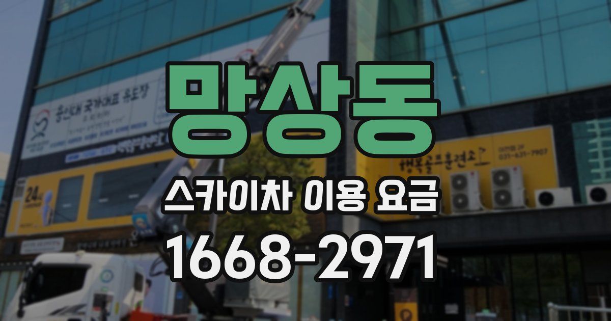 망상동 스카이차 이용 요금