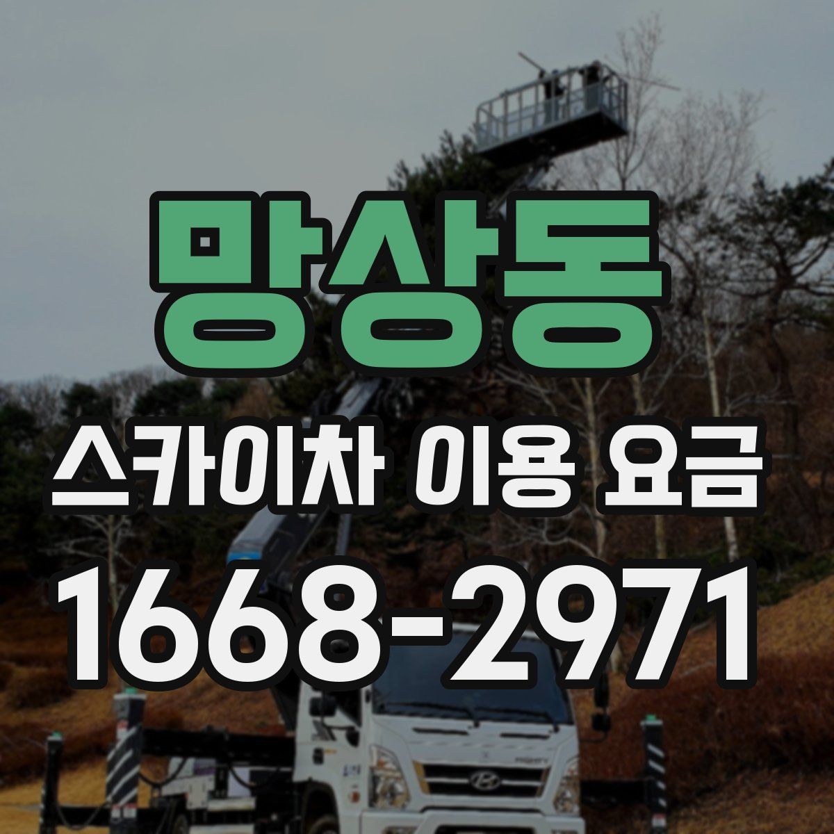 망상동 스카이차 이용 요금