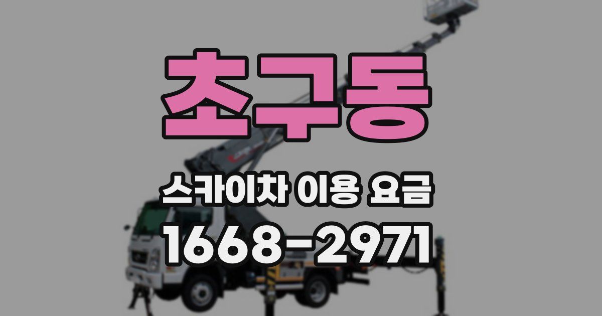 초구동 스카이차 이용 요금