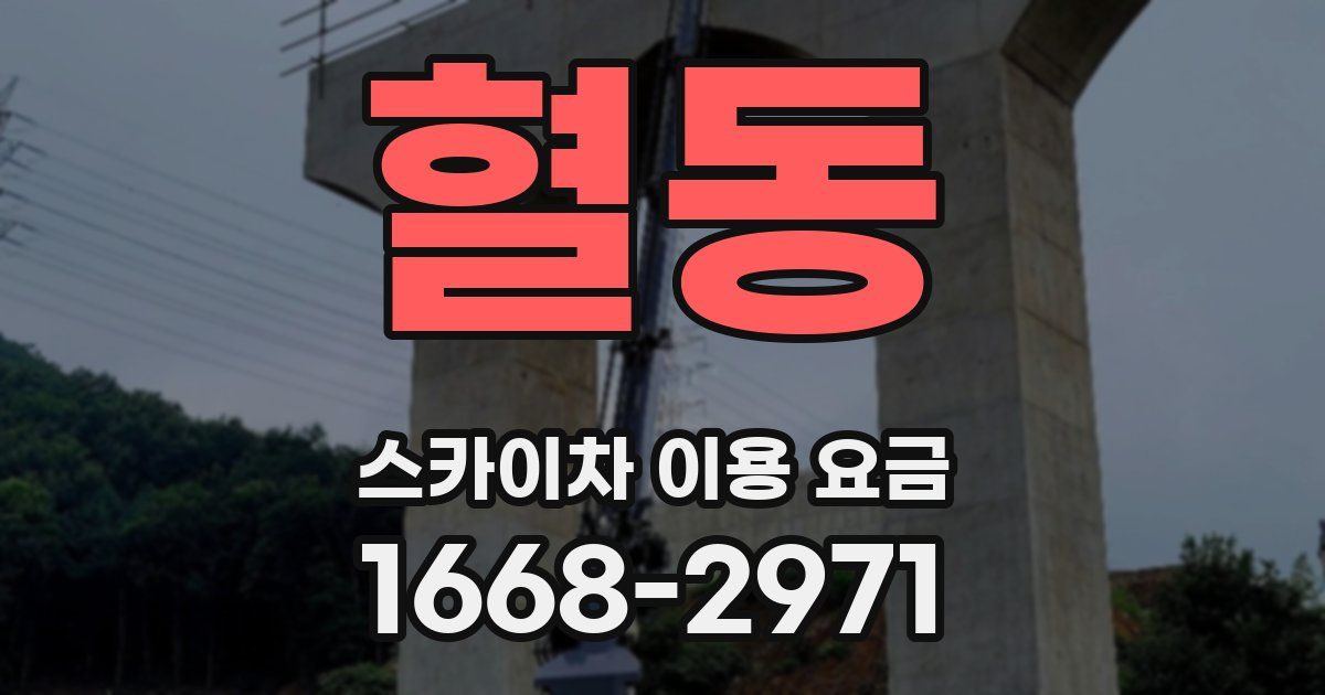 혈동 스카이차 이용 요금