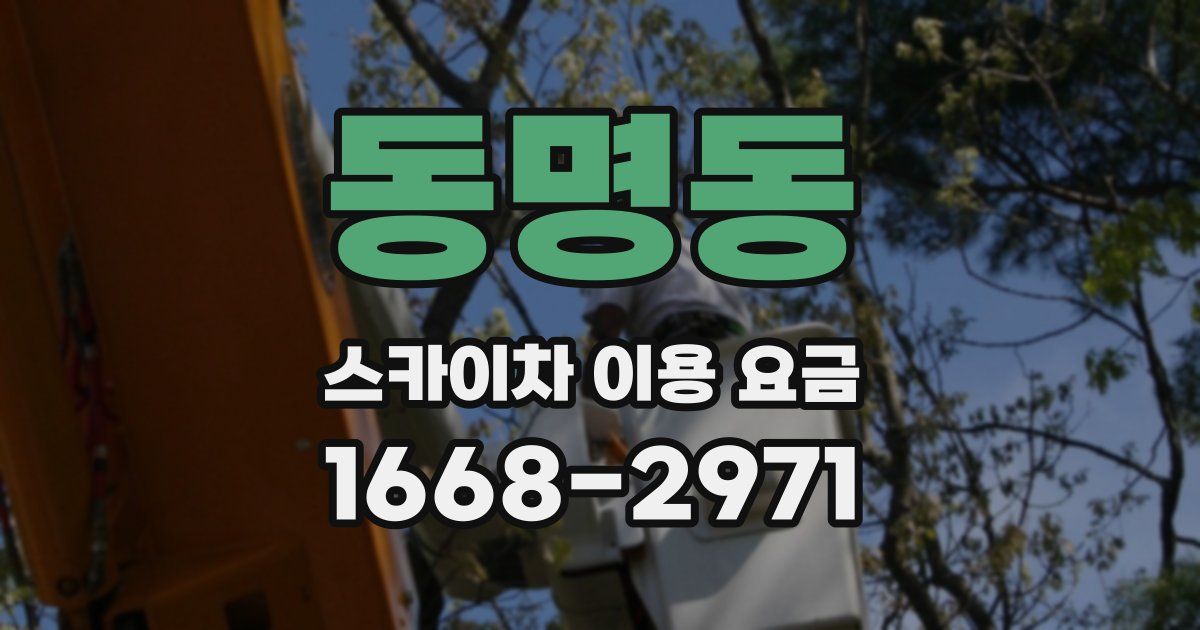 동명동 스카이차 이용 요금