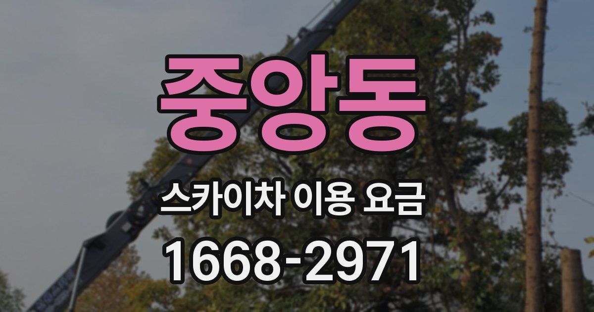 중앙동 스카이차 이용 요금