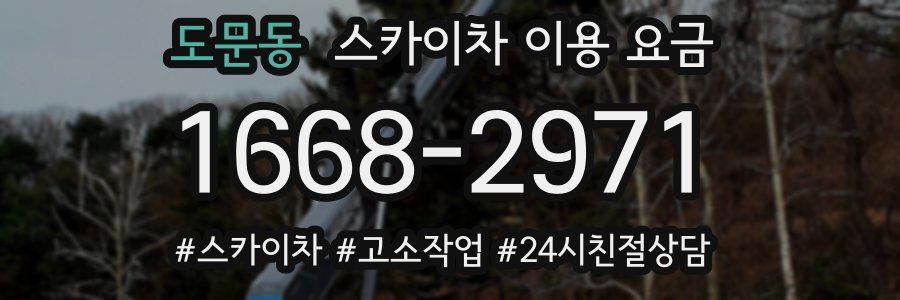 도문동 스카이차 이용 요금
