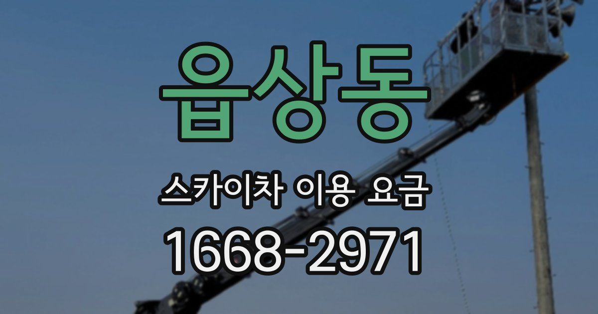 읍상동 스카이차 이용 요금