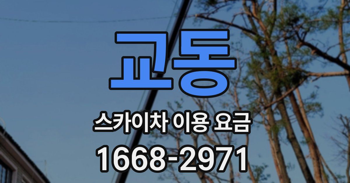 교동 스카이차 이용 요금