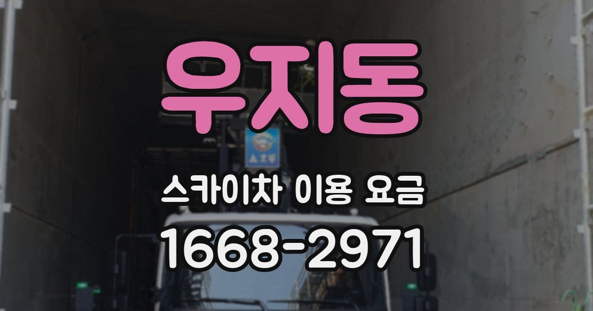우지동 스카이차 이용 요금