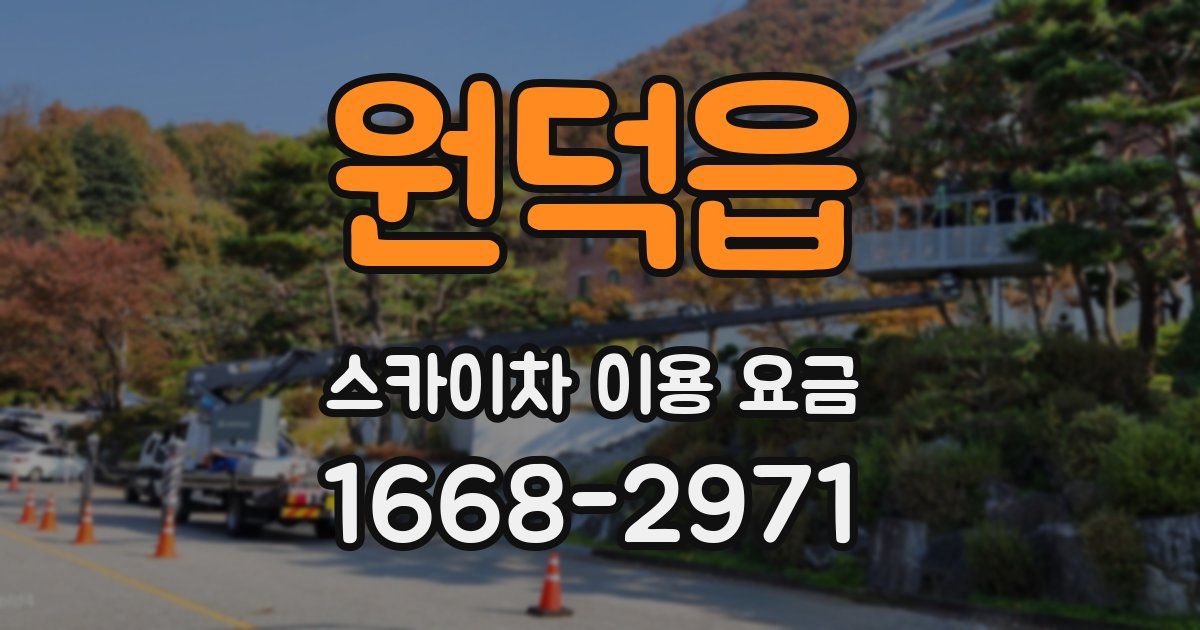 원덕읍 스카이차 이용 요금