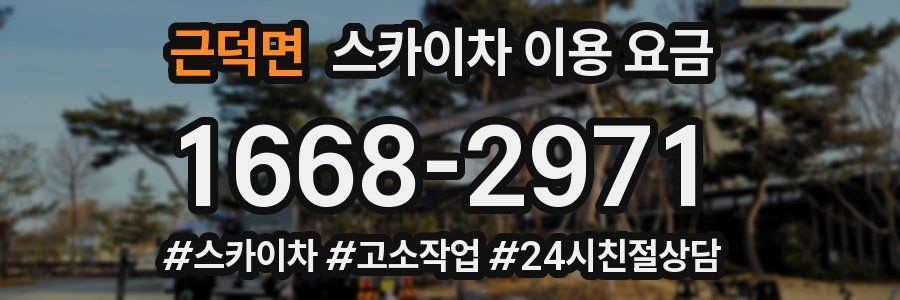 근덕면 스카이차 이용 요금