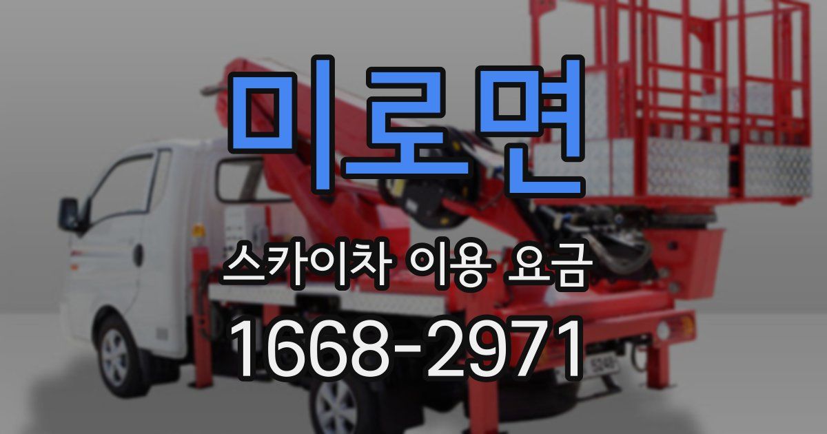 미로면 스카이차 이용 요금