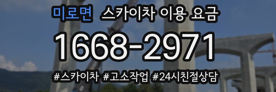 미로면 스카이차 이용 요금