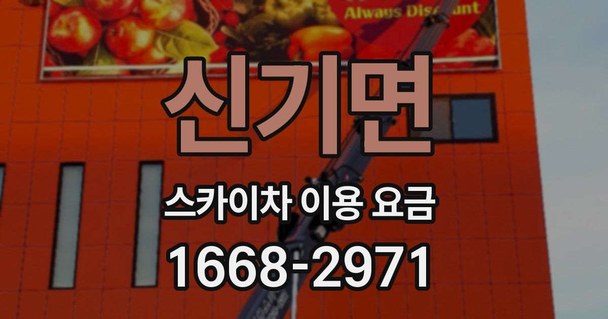 신기면 스카이차 이용 요금