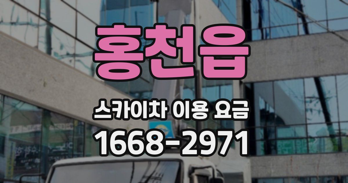 홍천읍 스카이차 이용 요금