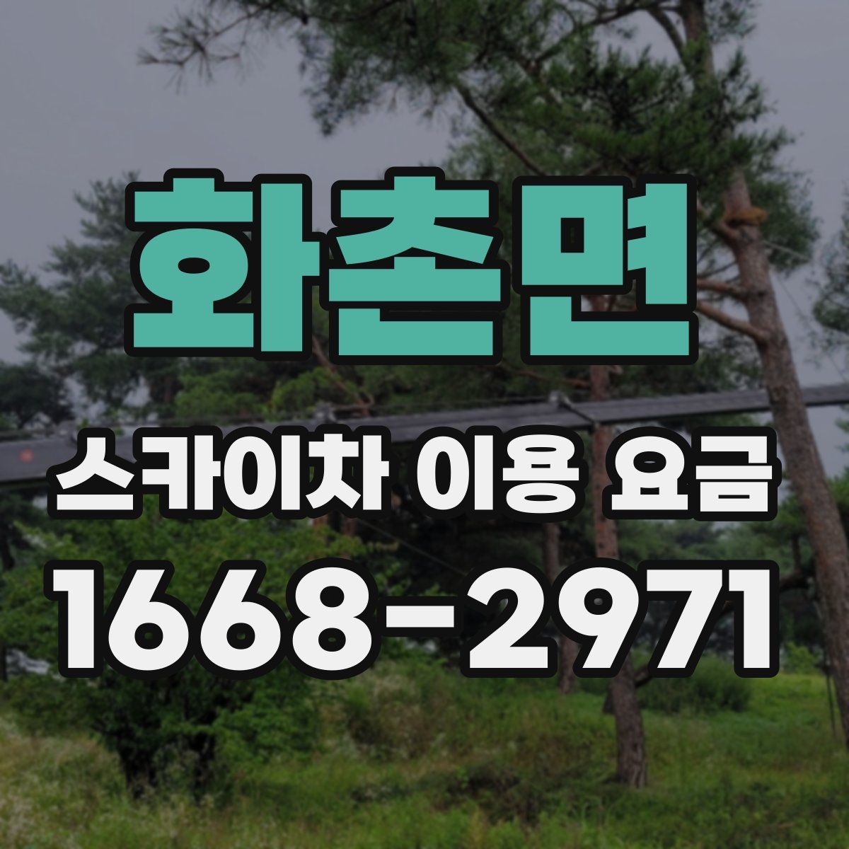 화촌면 스카이차 이용 요금