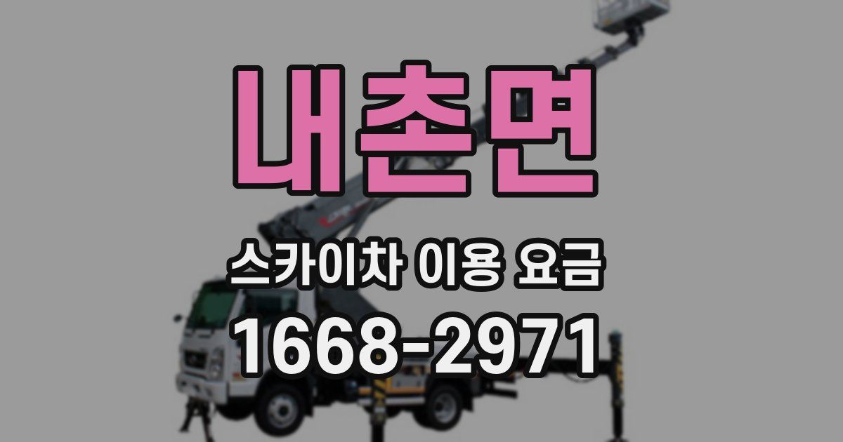 내촌면 스카이차 이용 요금